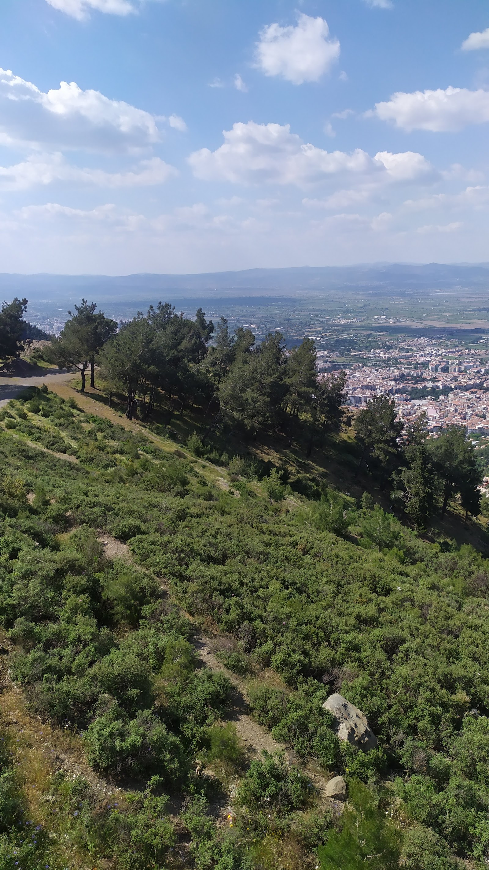 Alyans Davet Düğün Salonu — Şehzadeler, Manisa kır düğünü mekanı görsel 9