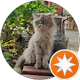 Foodie Trekker profil fotoğrafı
