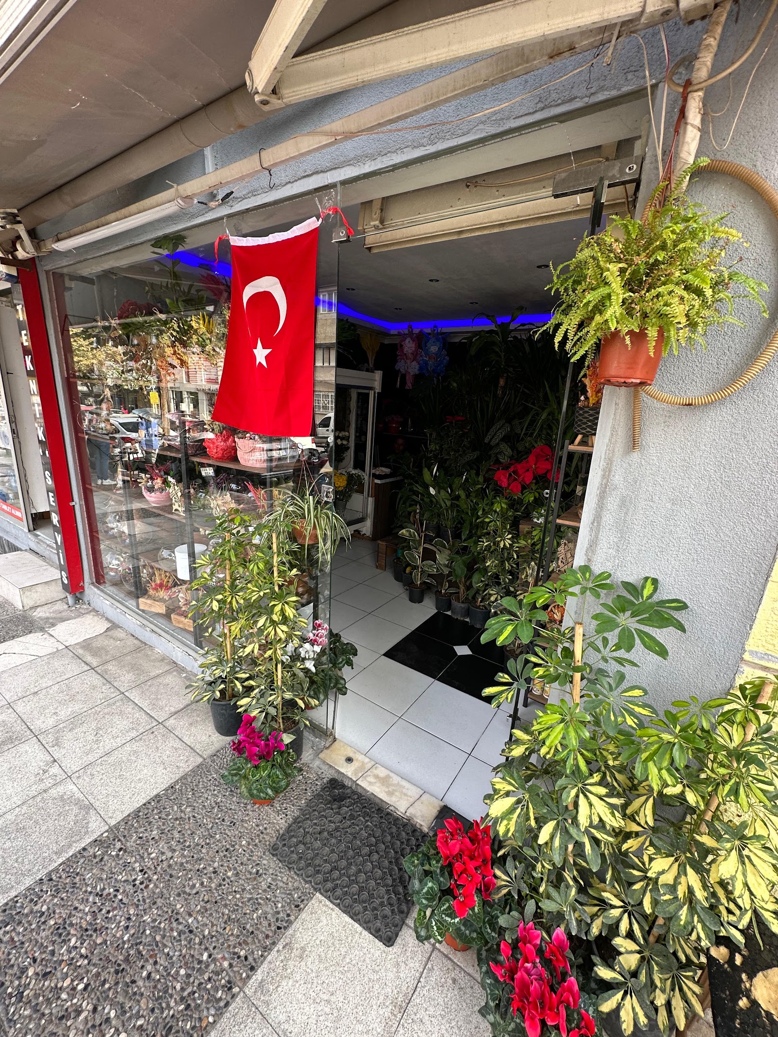 Manisa Cicekcisi kır düğünü mekanı — Şehzadeler