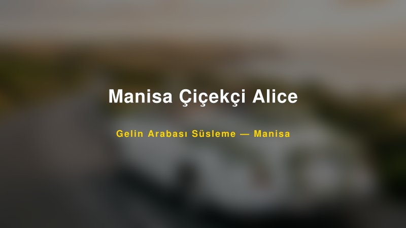 Manisa Çiçekçi Alice Manisa Gelin Arabası Süsleme